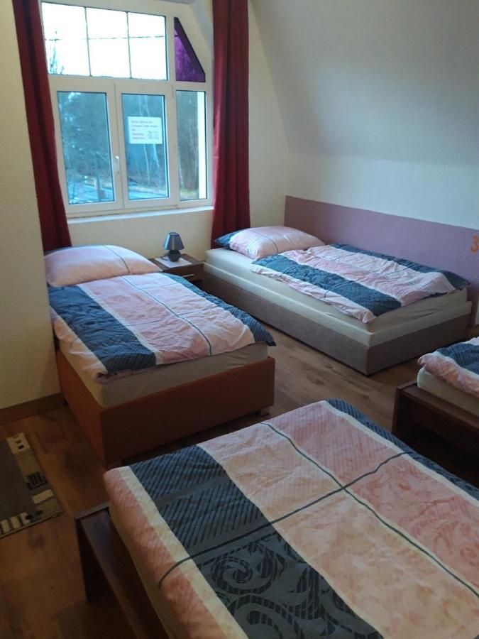 Ferienwohnung Erz-Hostel Thermalbad Wiesenbad Exterior photo